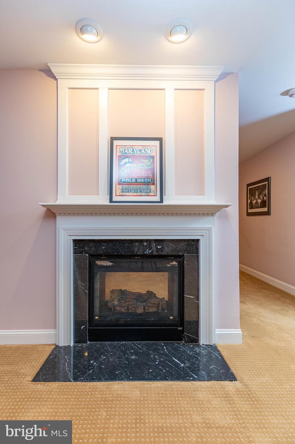 2421 Long Ridge Road Reisterstown, MD 21136 - Photo 84 of 92