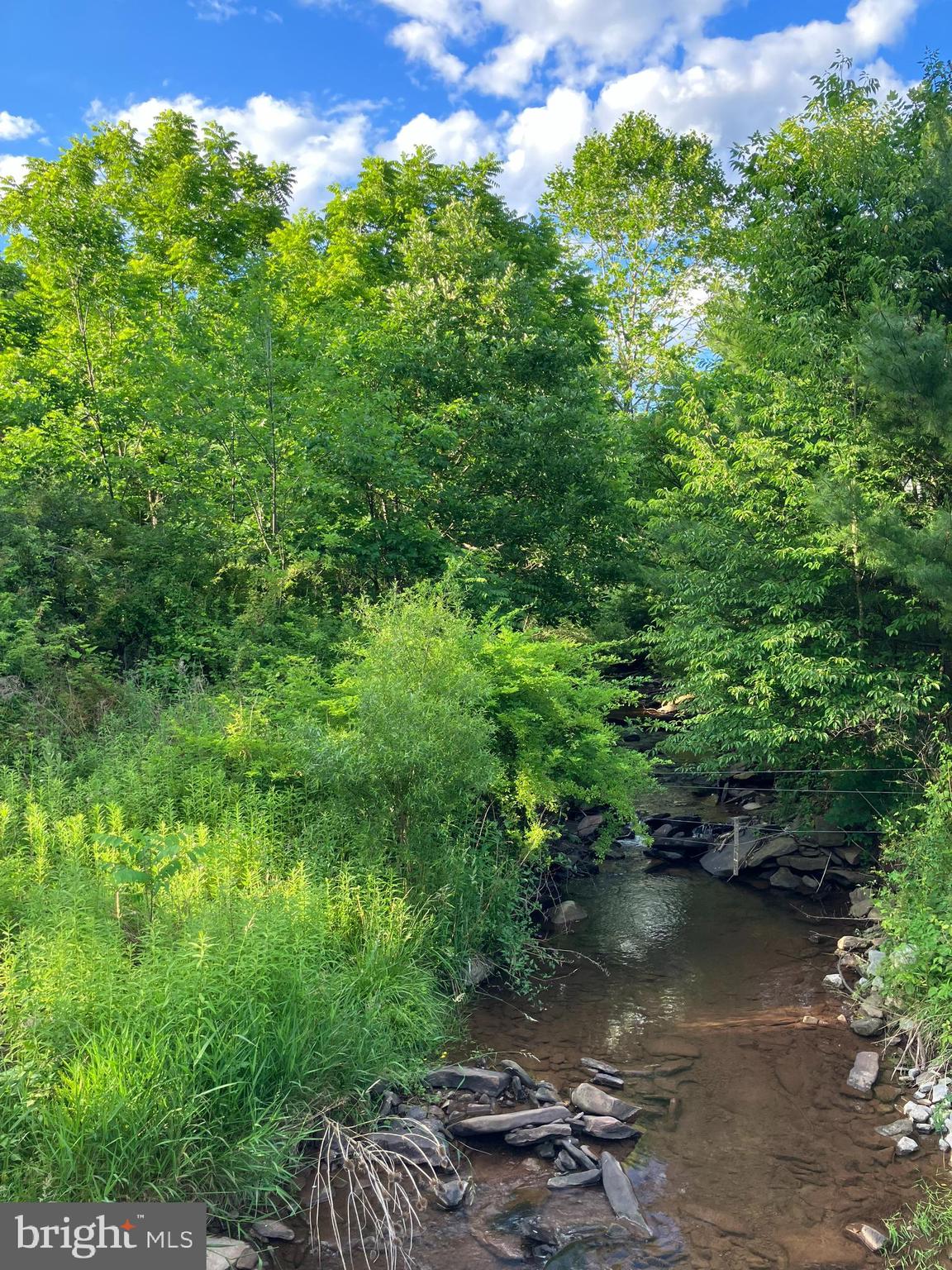 198 Gum Stump Road Bellefonte, PA 16823 - Photo 6 of 39
