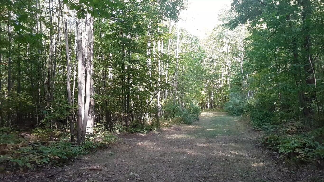 West Scott Road Ossineke, MI 49766 - Photo 12 of 15 Gallery Image 12