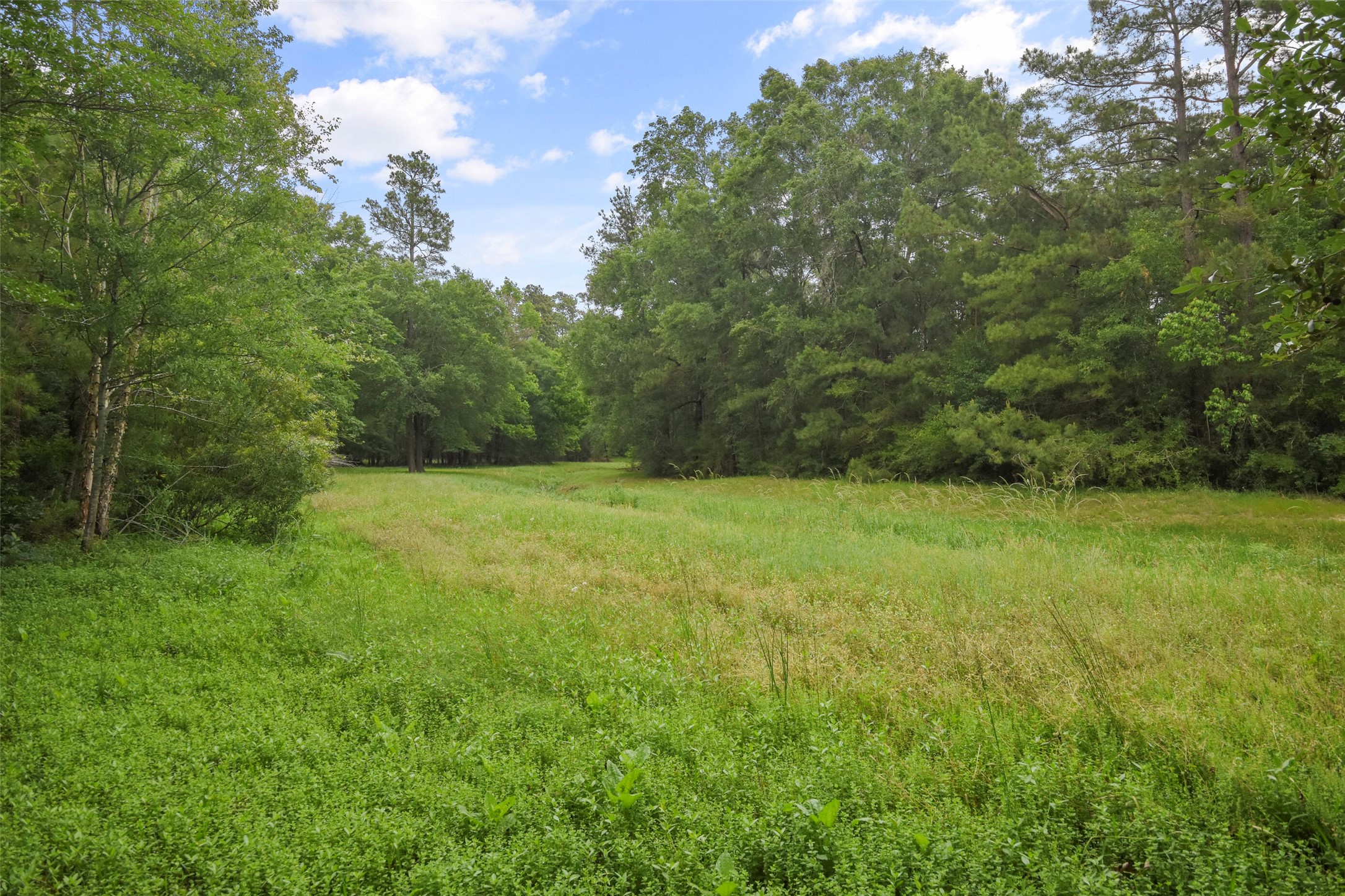 18 Pinery Ridge Place Spring, TX 77382 - Photo 38 of 38 a view of a garden