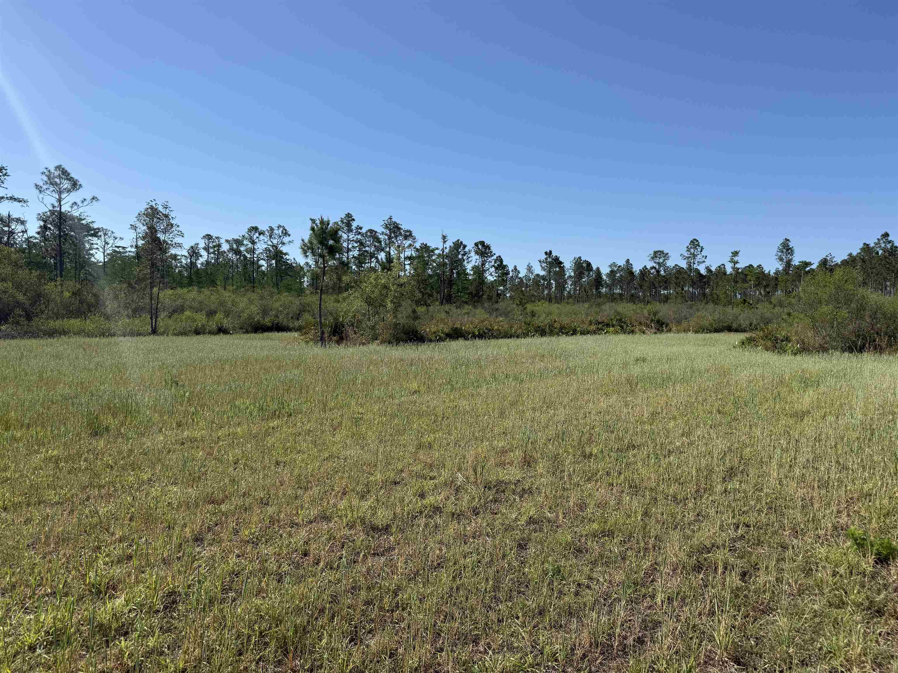 0 Madison Main Line Road Perry, FL 32347 - Photo 28 of 50