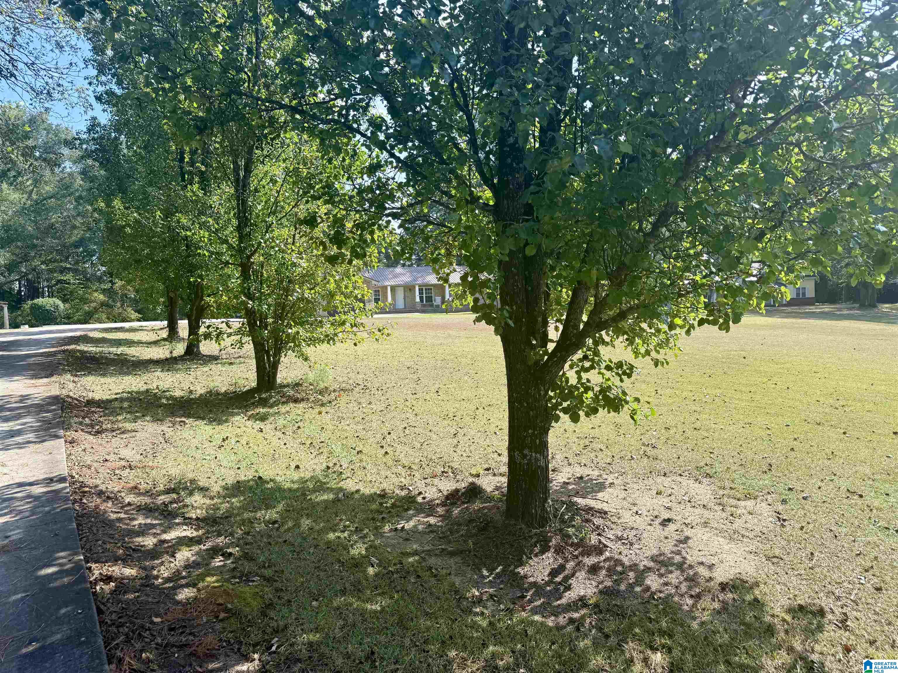 957 Morris Majestic Road Morris, AL 35116 - Photo 3 of 21