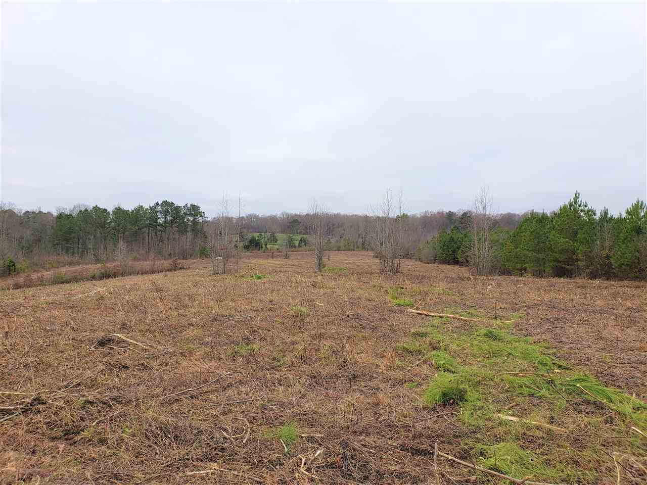0 County Road 966 Riceville, TN 37370 - Photo 2 of 3 Gallery Image 2