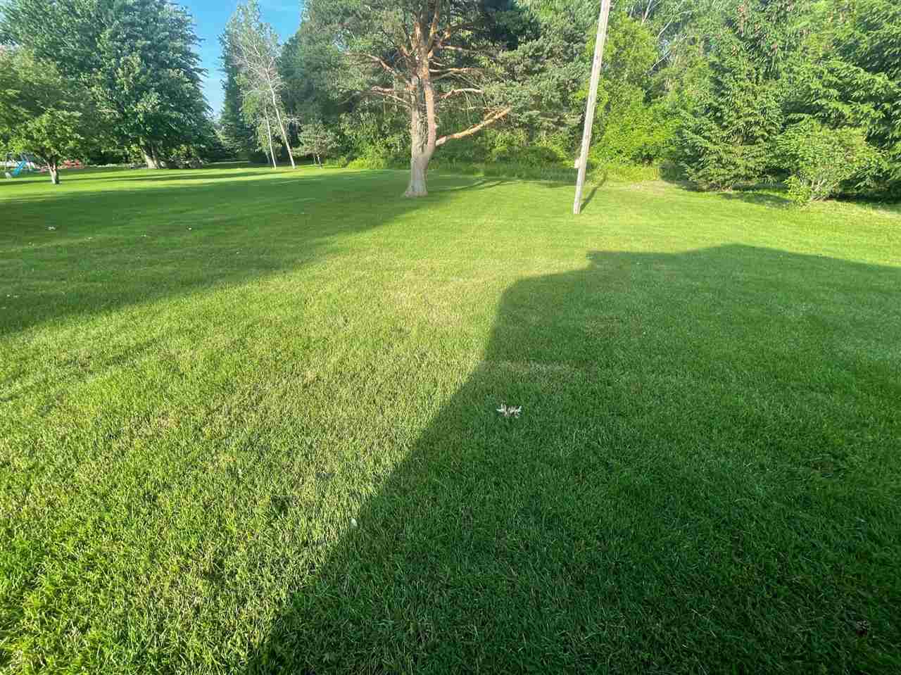 4870 Lone Road Freeland, MI 48623 - Photo 46 of 57