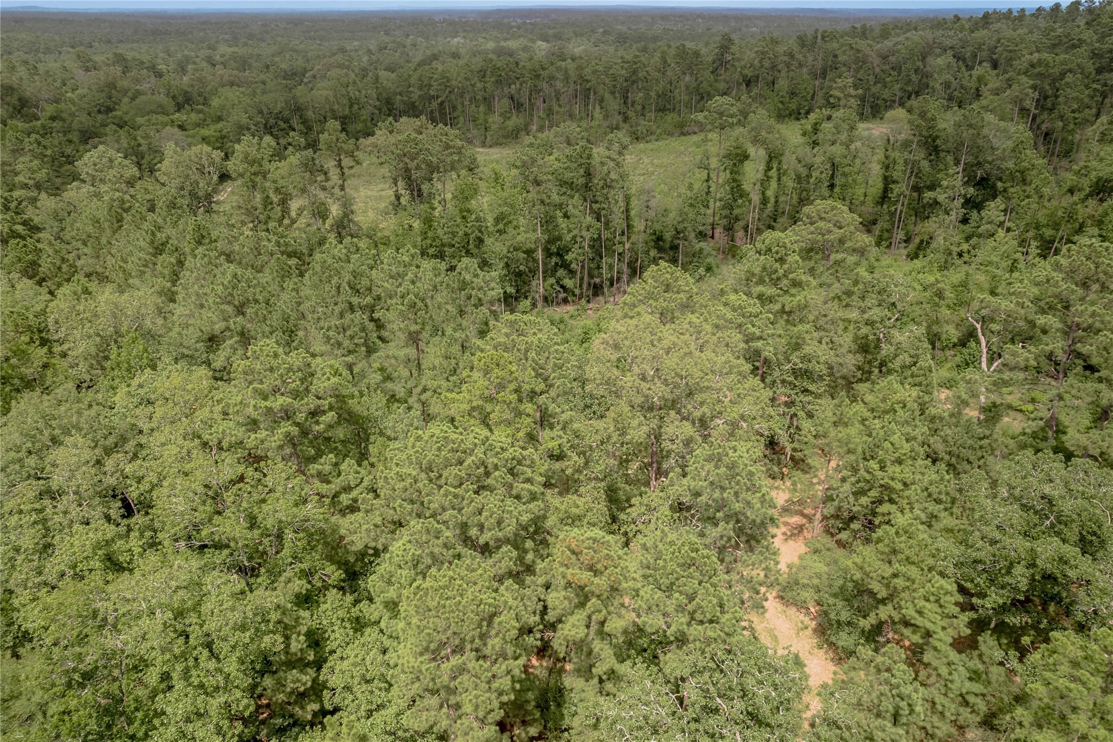 438 Cody Road Trinity, TX 75862 - Photo 38 of 50 Great for a secluded home site.