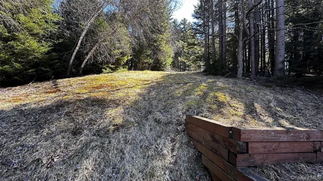 a view of a backyard with wooden fence and large trees