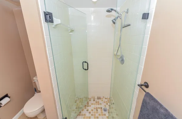 a bathroom with a shower and a toilet