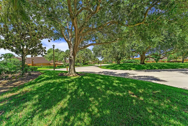 a view of backyard with green space