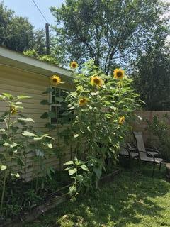 1409 Wando Road North Charleston, SC 29405 - Photo 30 of 32 IMG_2206