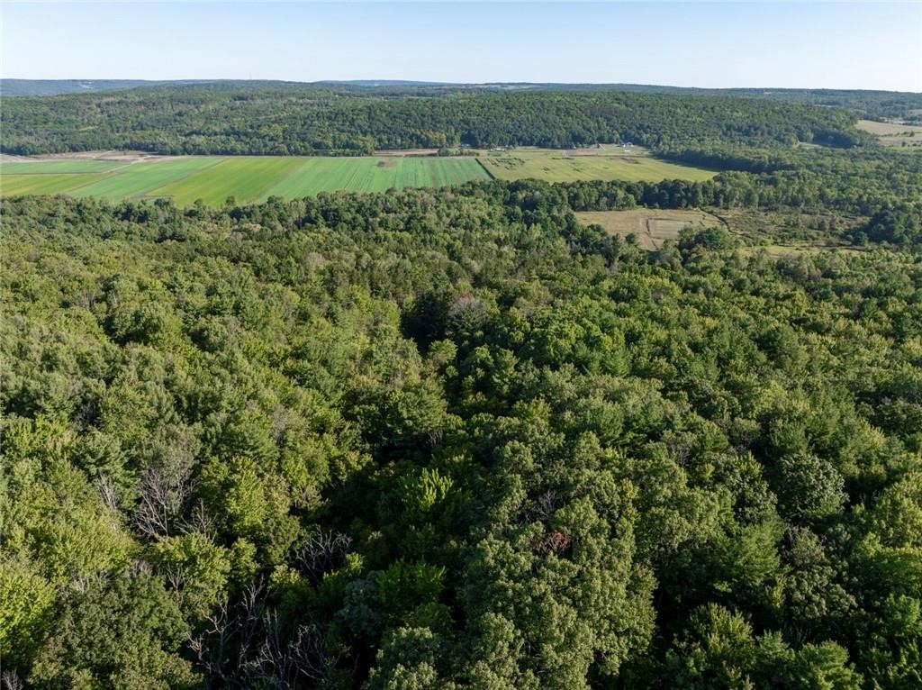 9894 Mountain Road Urbana, NY 14840 - Photo 4 of 37