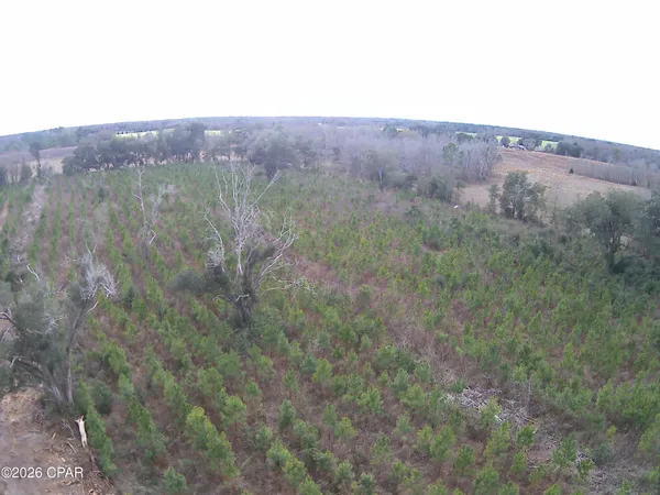 $75,075 | 0 Lovewood Road, Cottondale, FL 32431