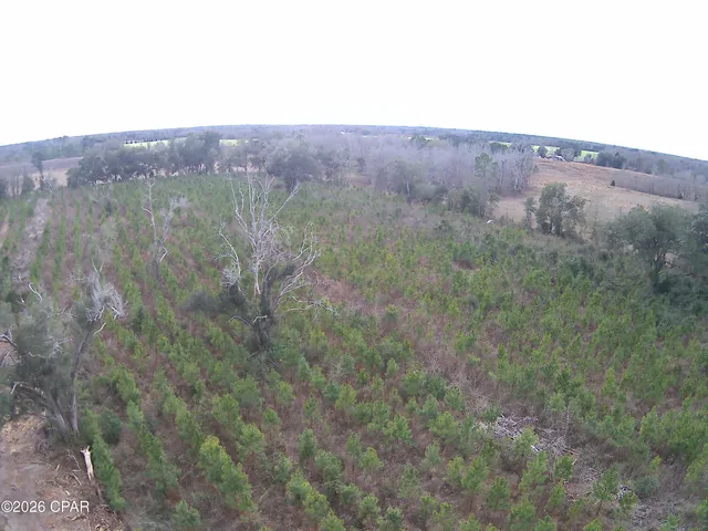 $89,089 | 0 Lovewood Road, Cottondale, FL 32431