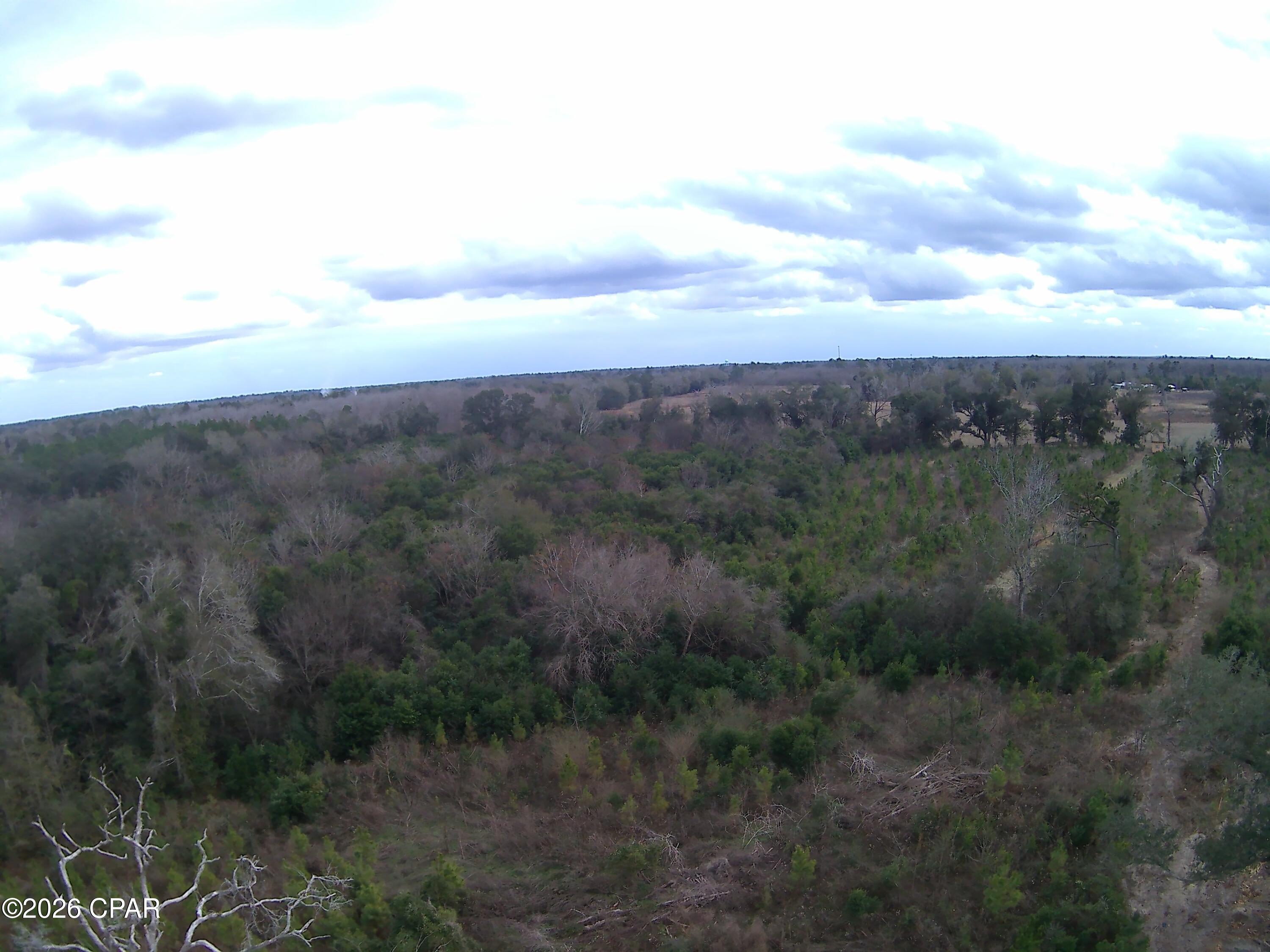 0 Lovewood Road Cottondale, FL 32431 - Photo 17 of 27