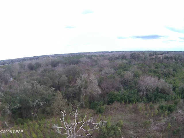 $89,089 | 0 Lovewood Road, Cottondale, FL 32431