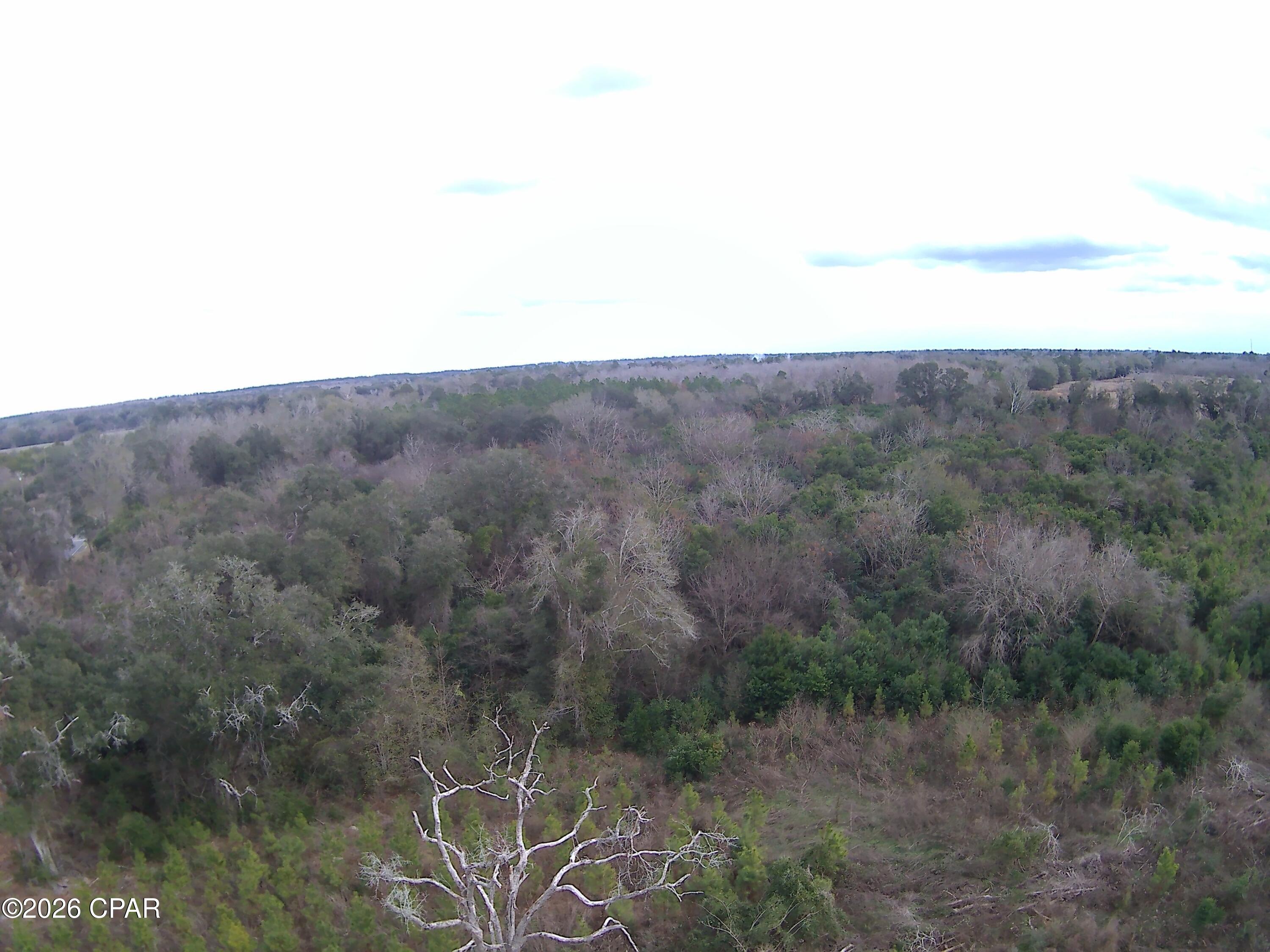 0 Lovewood Road Cottondale, FL 32431 - Photo 19 of 27