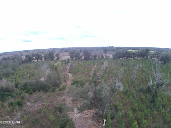 $75,075 | 0 Lovewood Road, Cottondale, FL 32431
