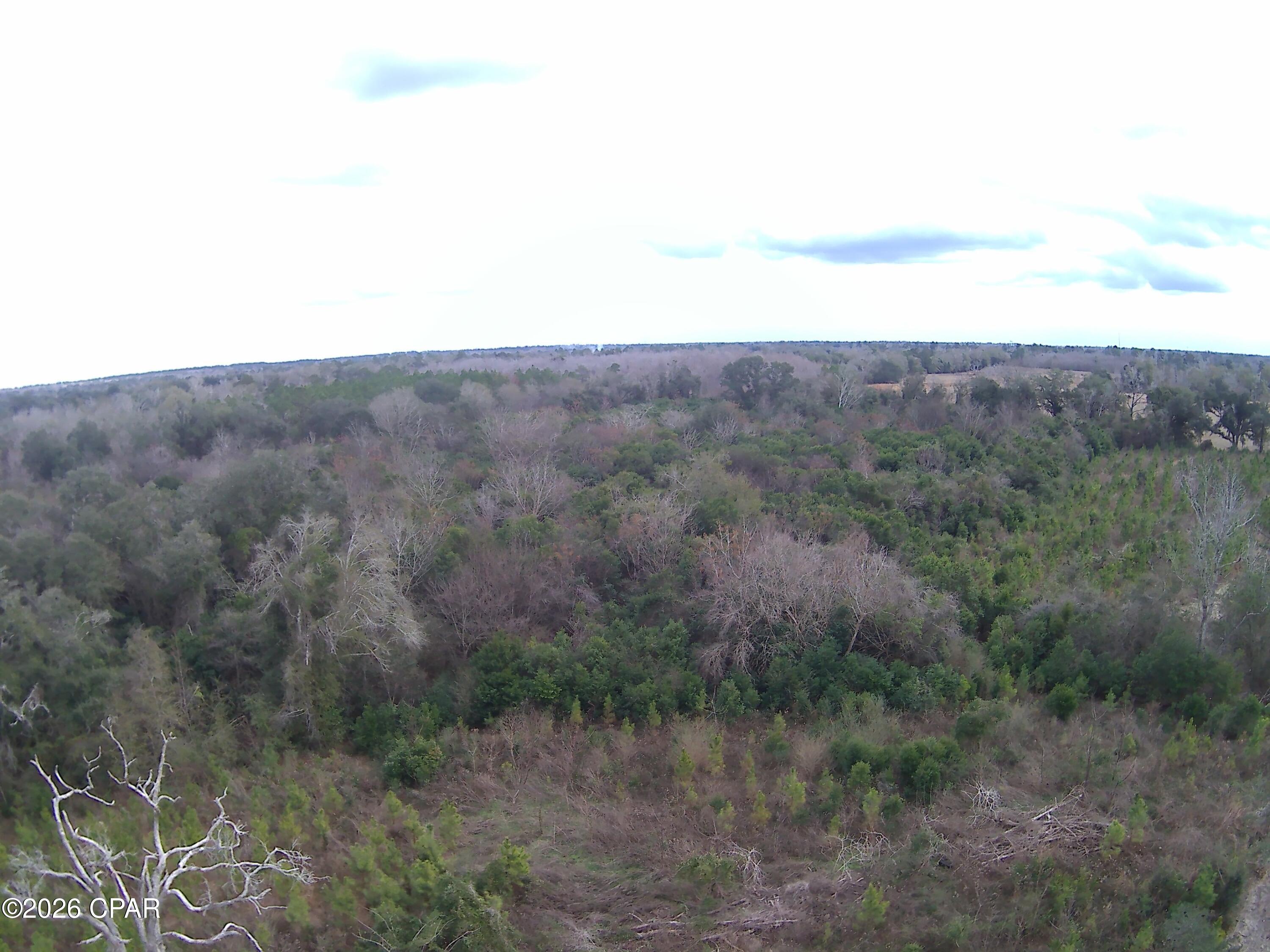 0 Lovewood Road Cottondale, FL 32431 - Photo 27 of 27