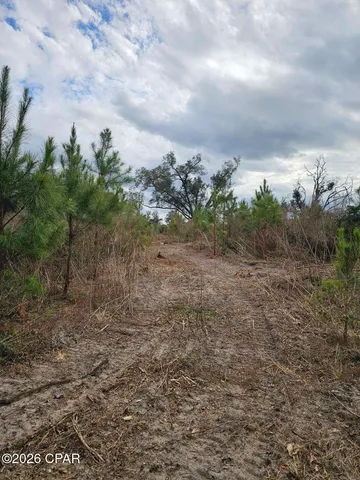 $89,089 | 0 Lovewood Road, Cottondale, FL 32431