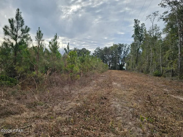 $89,089 | 0 Lovewood Road, Cottondale, FL 32431