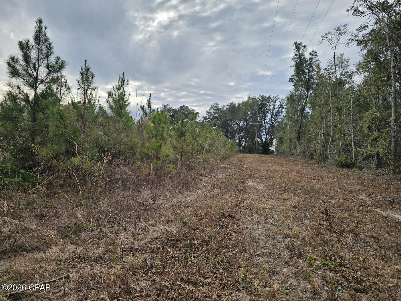 0 Lovewood Road Cottondale, FL 32431 - Photo 7 of 27