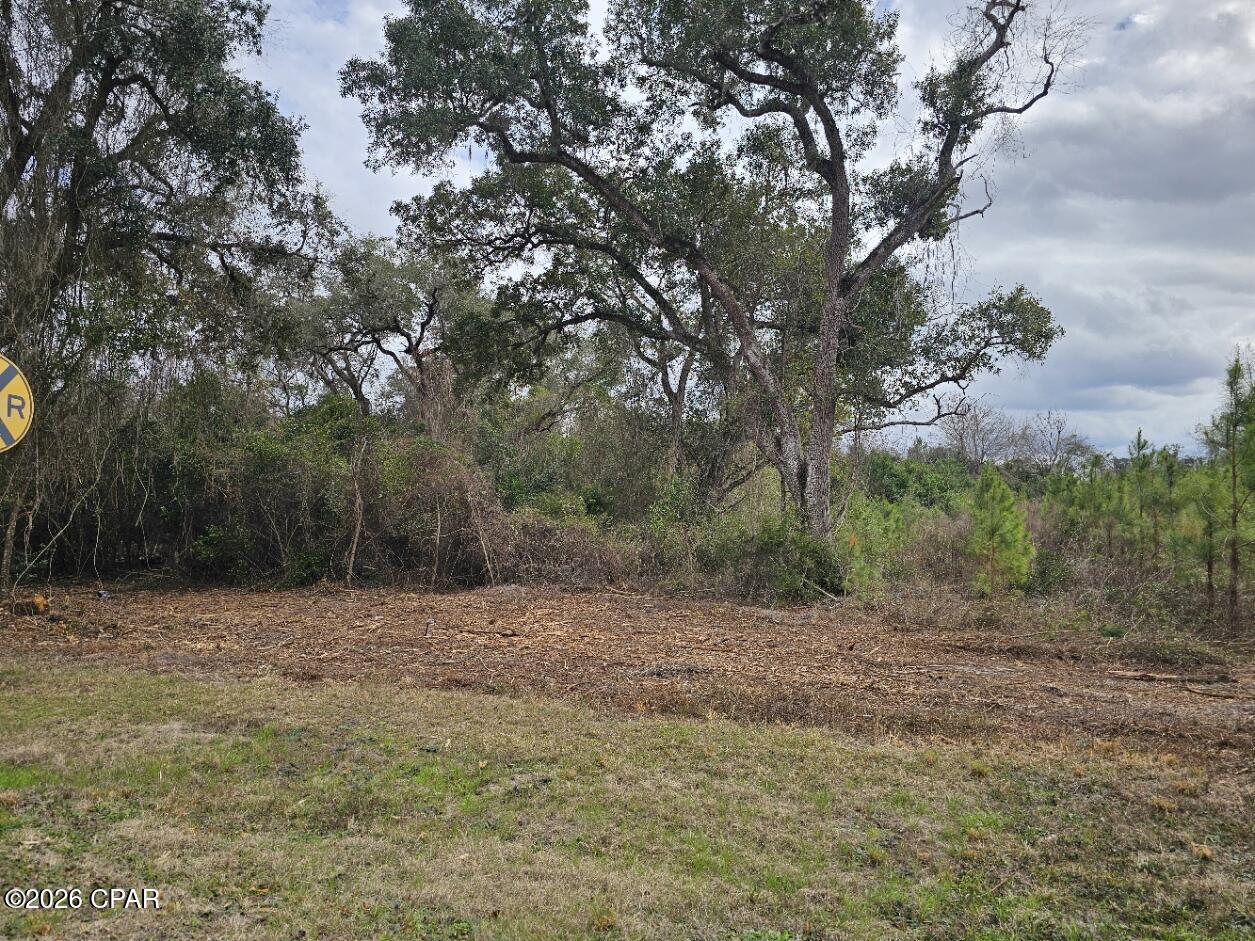 0 Lovewood Road Cottondale, FL 32431 - Photo 9 of 27