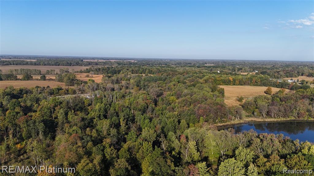 0 Chapman Road Stockbridge, MI 49285 - Photo 18 of 20