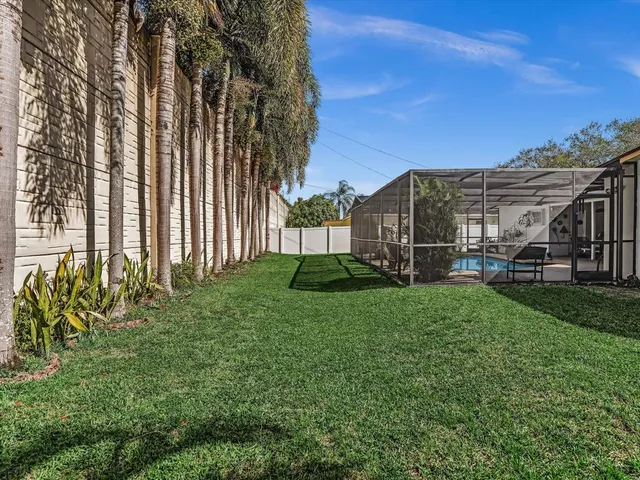 a view of a backyard with palm trees
