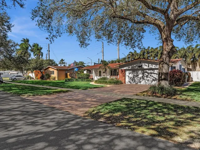 a view of a backyard with plants and a large tree