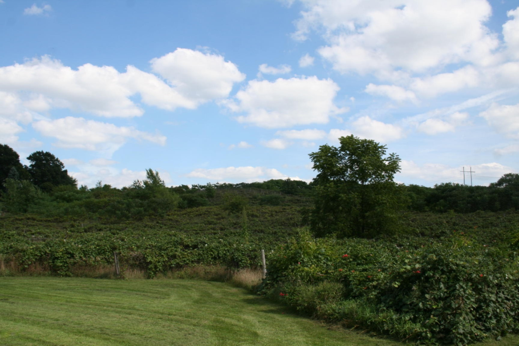 3245 Bessemer Road, Unit PARENT Coloma, MI 49038 - Photo 8 of 13 IMG_3669