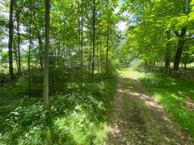 Lot 2 West Meadow Road Fish Creek, WI 54212 - Photo 3 of 40