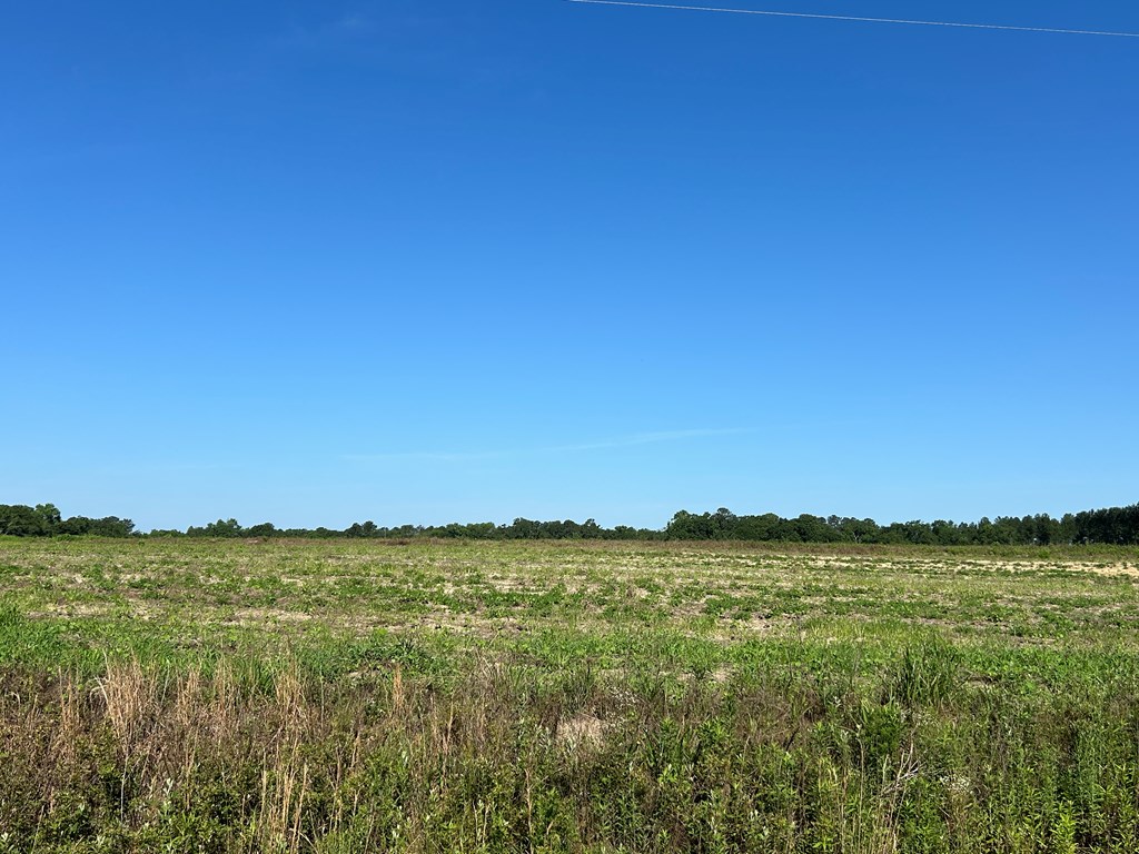 40.522-ac Cecil Varnum Road Dothan, AL 36301 - Photo 29 of 38