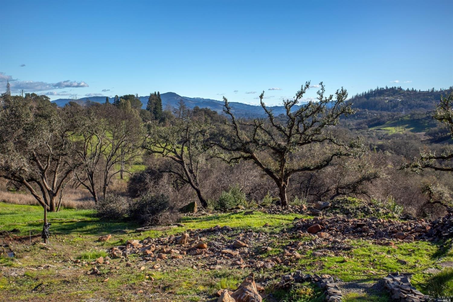 a view of a city with lush green forest