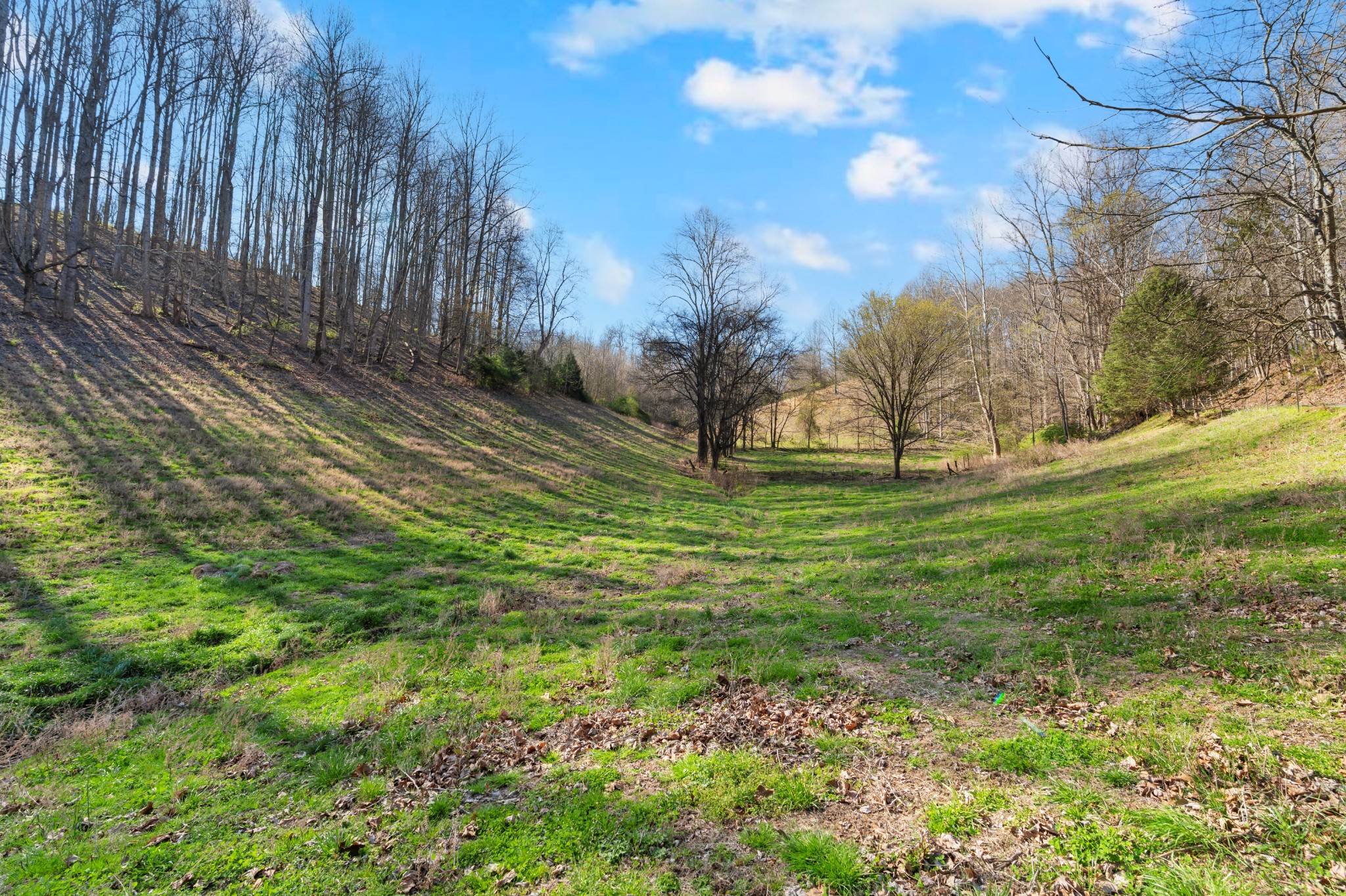 546 Womack Hollow Road Liberty, TN 37095 - Photo 21 of 26