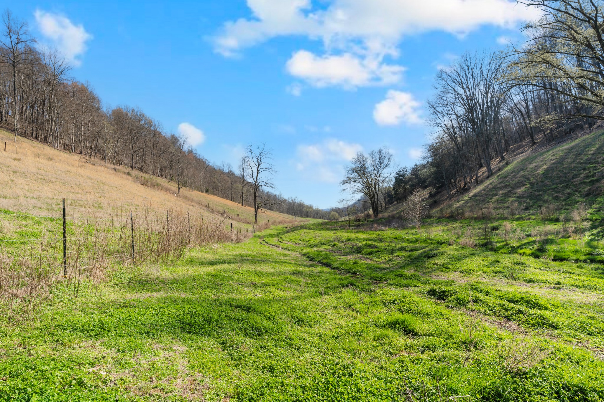 546 Womack Hollow Road Liberty, TN 37095 - Photo 22 of 26