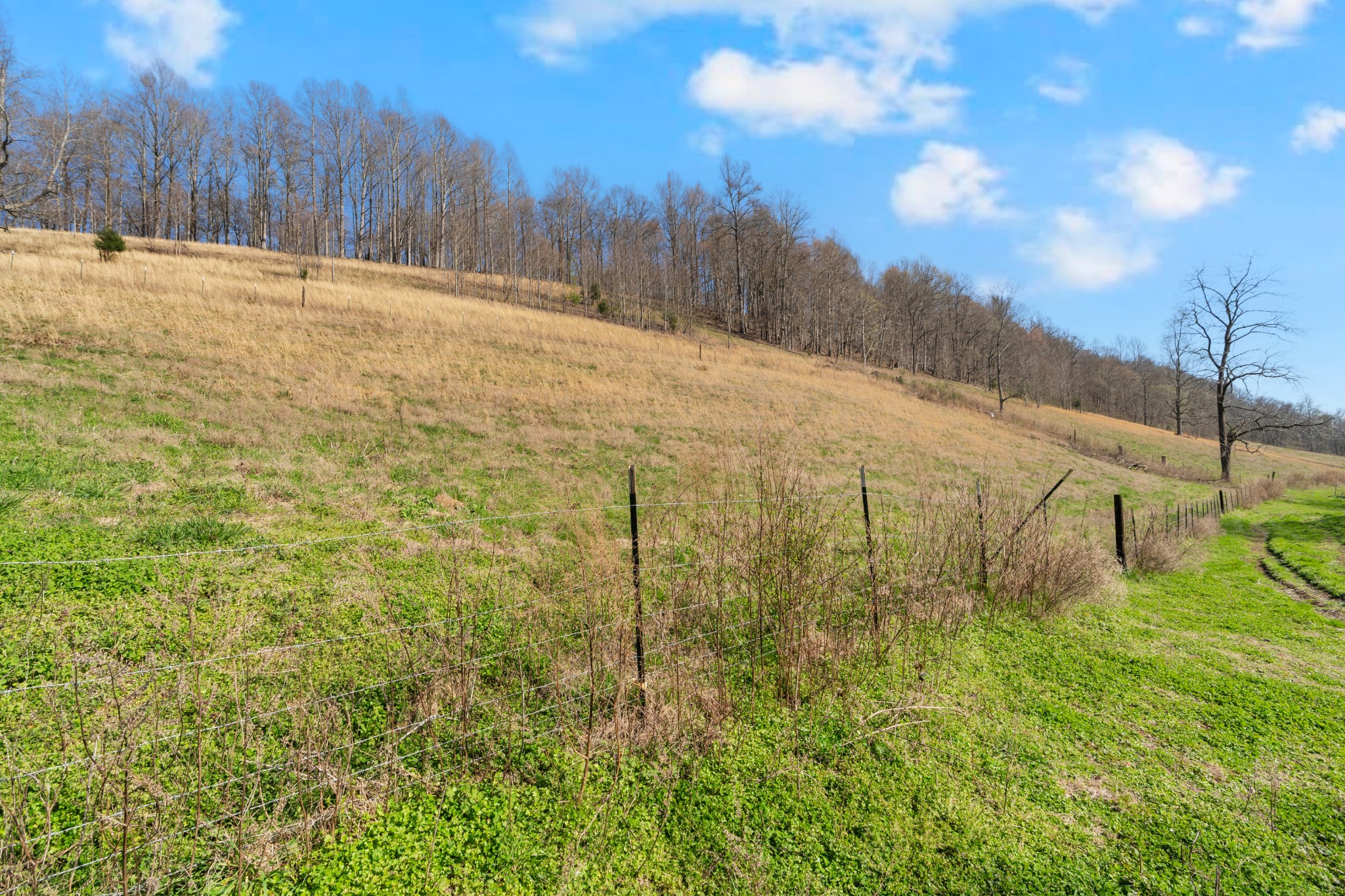 546 Womack Hollow Road Liberty, TN 37095 - Photo 23 of 26