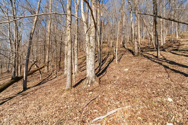 $899,000 | 546 Womack Hollow Road, Liberty, TN 37095