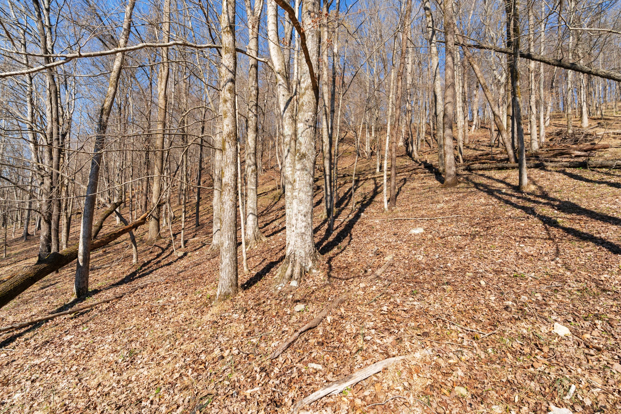 546 Womack Hollow Road Liberty, TN 37095 - Photo 25 of 26