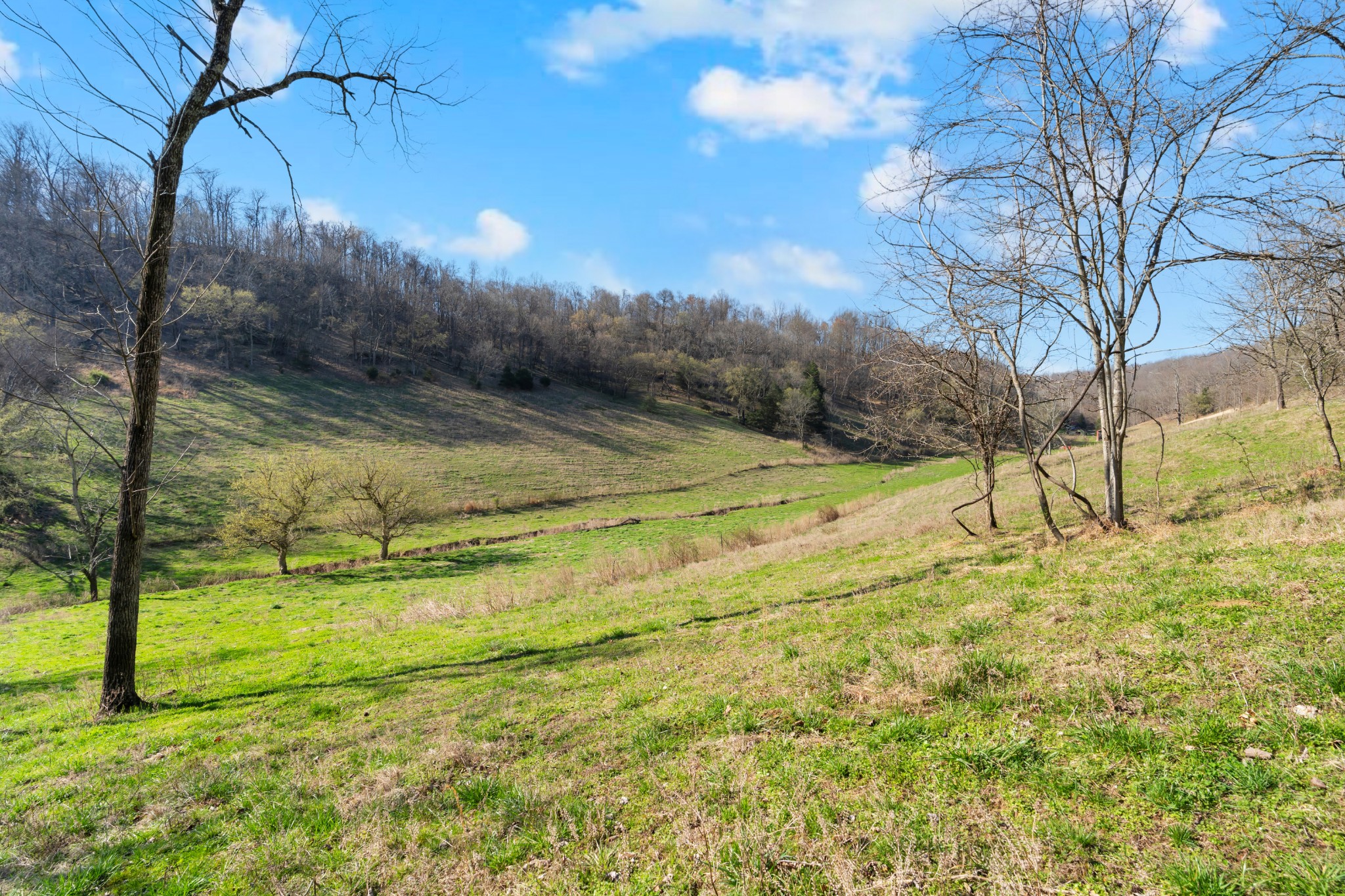 546 Womack Hollow Road Liberty, TN 37095 - Photo 3 of 26