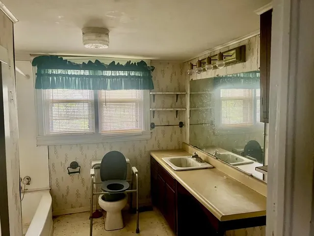 a big yard with lots of green space and deers