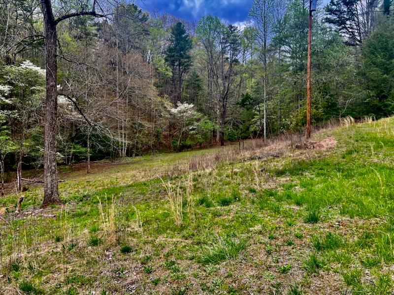 16378 Highway 64 Murphy, NC 28906 - Photo 4 of 20 a view of a lush green forest