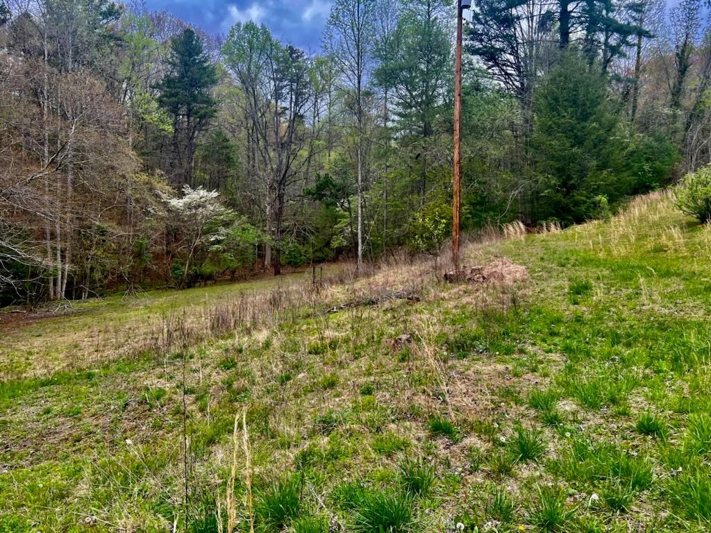 16378 Highway 64 Murphy, NC 28906 - Photo 8 of 20 a backyard of a house with lots of green space