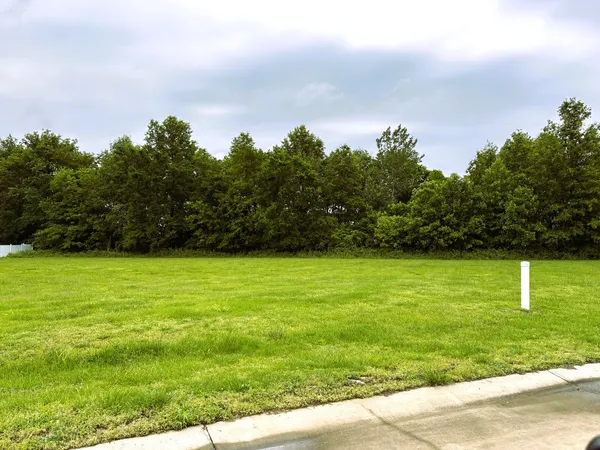 a backyard of a house with a lots of trees