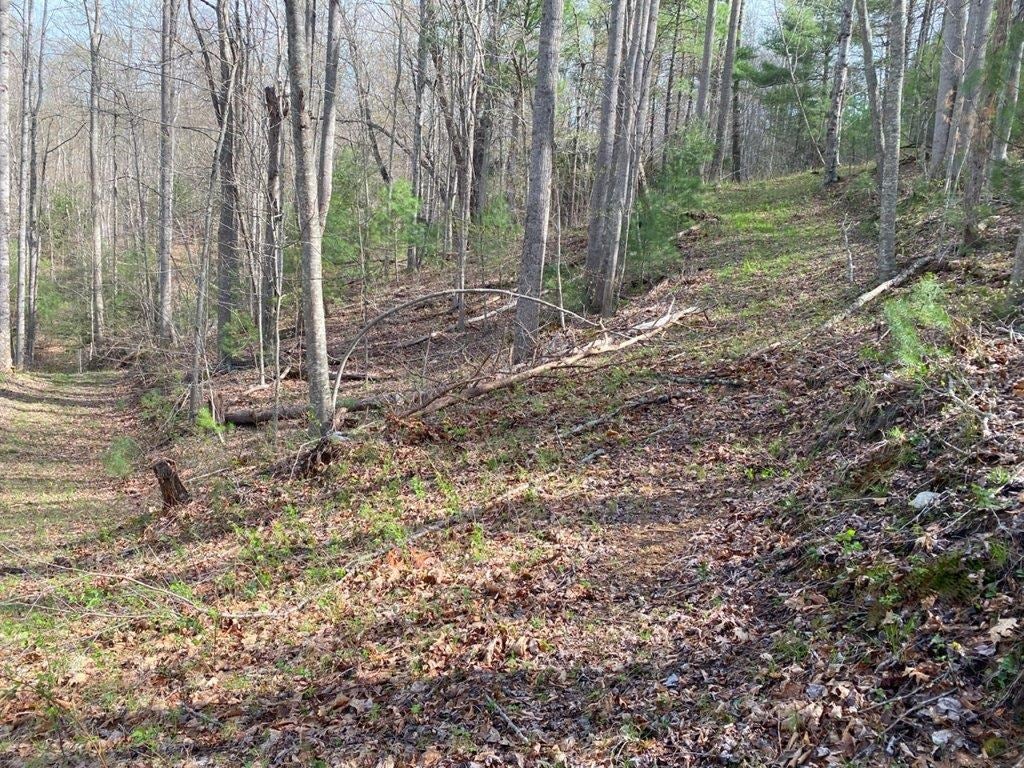 Tbd Sowers Road Northeast Floyd, VA 24091 - Photo 3 of 30 Gallery Image 3