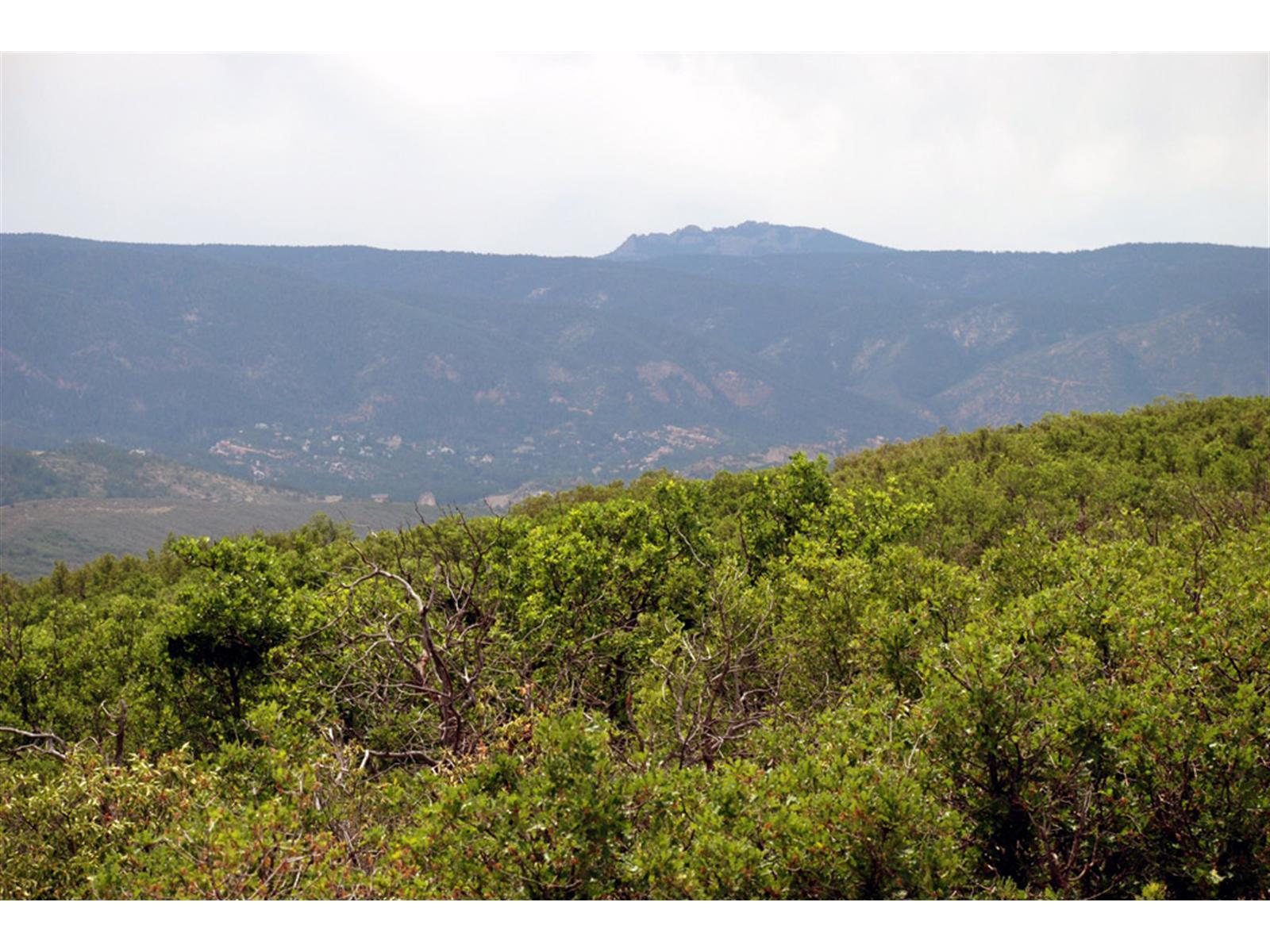 6431 Balsamroot Road Larkspur, CO 80118 - Photo 1 of 1 Gallery Image 1