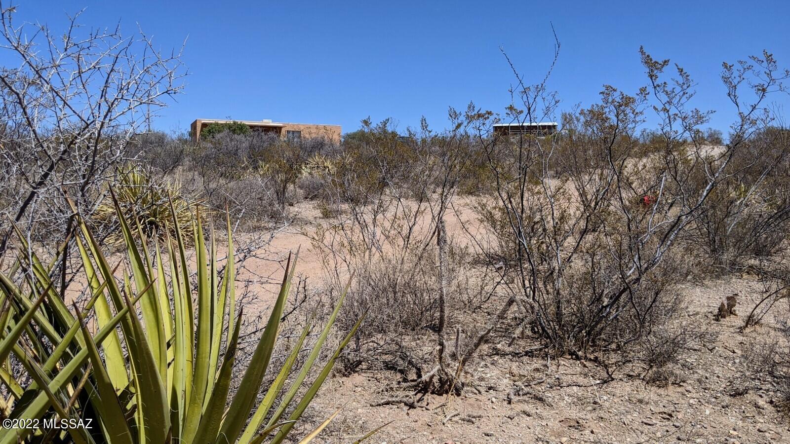 1-lot East Roadrunner Ridge Tombstone, AZ 85638 - Photo 3 of 20