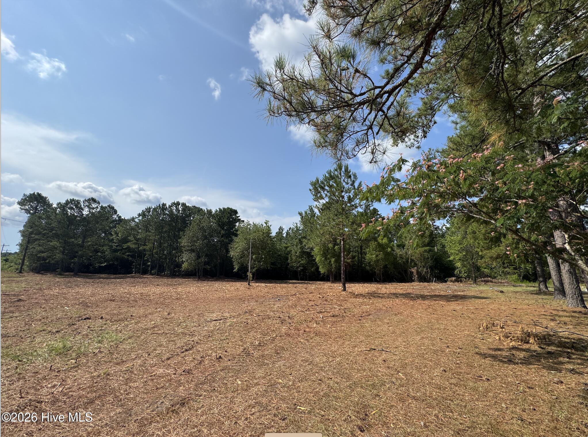 1187 Green Hill Road Northeast Leland, NC 28451 - Photo 4 of 8