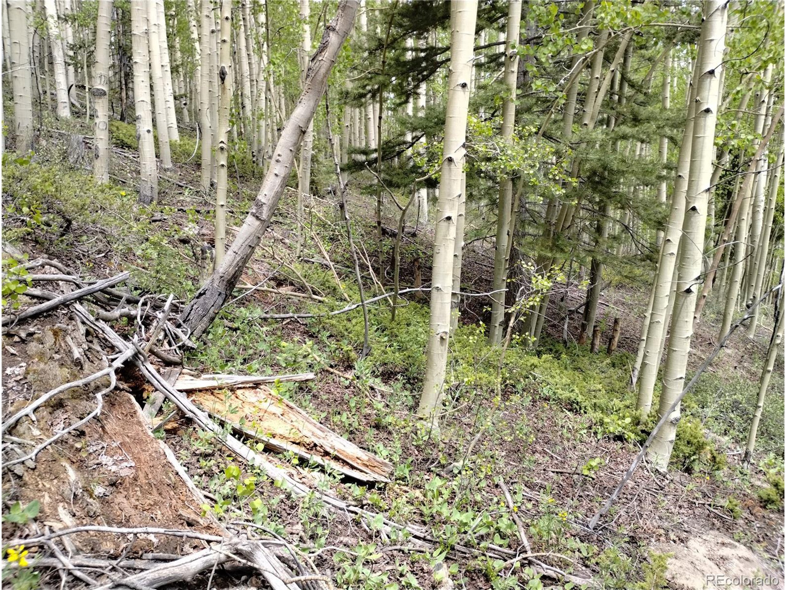 5364 Slegers Road Fort Garland, CO 81133 - Photo 12 of 15