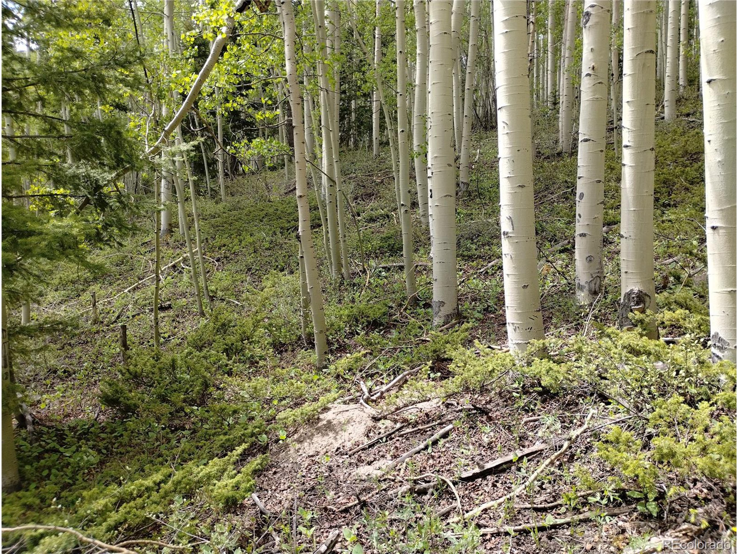 5364 Slegers Road Fort Garland, CO 81133 - Photo 2 of 15