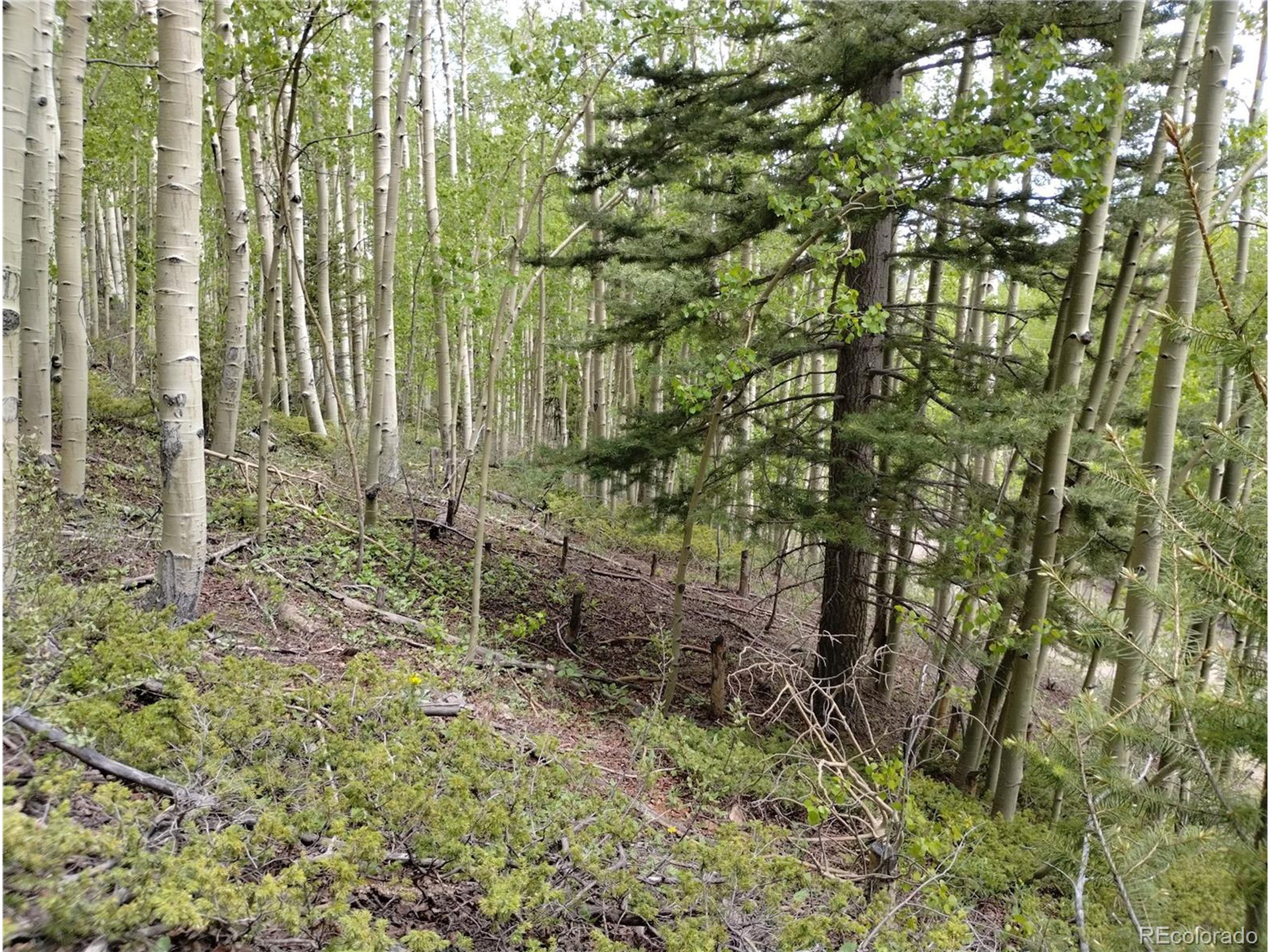 5364 Slegers Road Fort Garland, CO 81133 - Photo 5 of 15