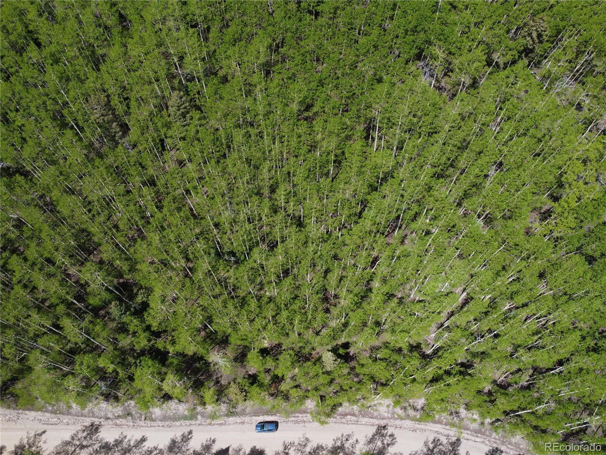 5364 Slegers Road Fort Garland, CO 81133 - Photo 6 of 15